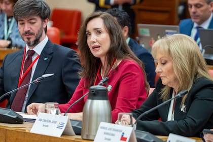 Victoria Villarruel en España