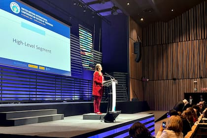 Victoria Villarruel expuso en un foro de la ONU, en España