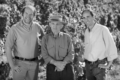 Daniel Pi, director de enología de Bodega Trapiche, Victorio Coletto y Marcelo Belmonte, director de viticultura de Bodega Trapiche, en la Finca Coletto.