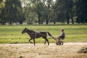 El barrio verde y tranquilo que le rinde tributo al caballo