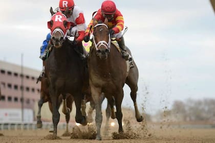 Village King (der.) ganando en Estados Unidos; los colores del stud argentino brillaron en Aqueduct en 2018