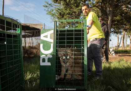 Villegas obtuvo su puesto de coordinación en la Brigada Ambiental nacional en 2016