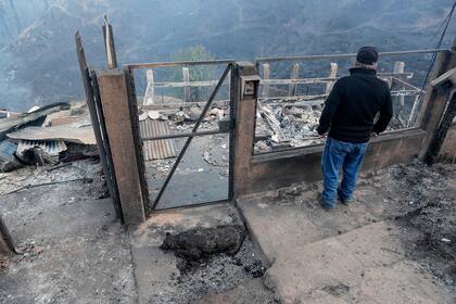 Un hombre mira los escombros de su casa destruida por un incendio forestal junto a un perro calcinado en los cerros de Viña del Mar