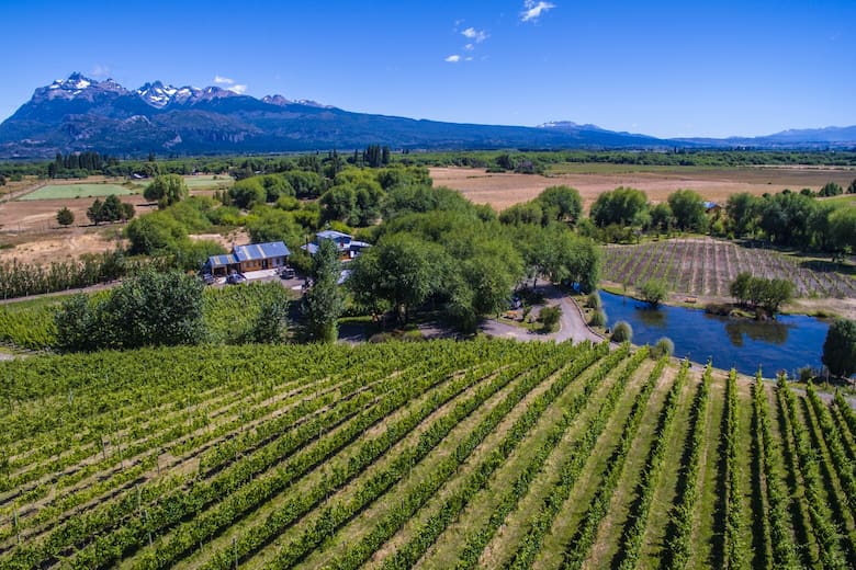 Trevelin amplía su temporada turística con peonías, lavandas y azafrán frente a la cordillera