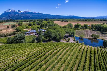 Viñas de Nant y Fall, en Trevelin embotella 14 mil vinos anuales, además recibe visitantes y ofrece alojamiento
