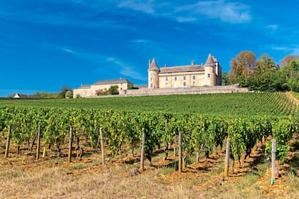 Viñedos de Borgoña (Francia), cuna de los grandes Pinot Noir del mundo