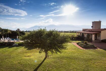 Viñedos. Gentileza Revista Lugares / Sebastián Pani