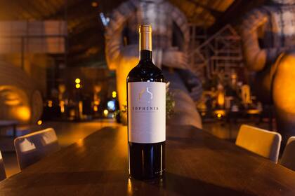 Vino de edición limitada por el aniversario N°25 de Finca Sophenia.