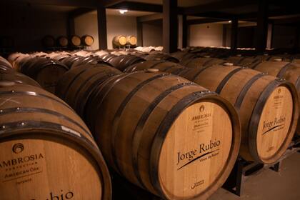 Vinos de exportación