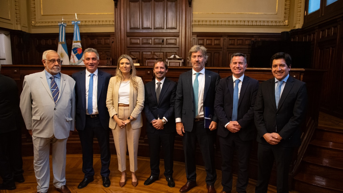 Santiago Viola juró ante la Corte como representante del Gobierno en el Consejo de la Magistratura