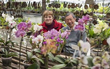 Violeta Pattini y Roberto Hosokawa, en su vivero de Escobar