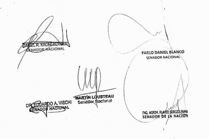 Vischi firmó el proyecto, pero este jueves lo votó en contra