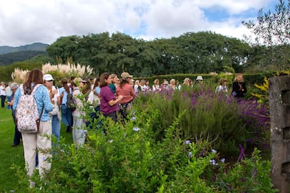 Visita al jardín de Verónica Figueroa en Chicoana