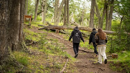 Visita guiada a la Reserva Natural Cerro Alarkén junto a un guía de Arakur Experience.