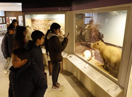 Visitas guiadas en el Museo de Ciencias Naturales