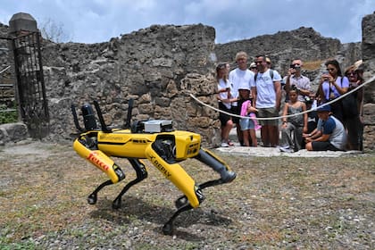 Los visitantes observan a "Spot", un robot cuadrúpedo desarrollado por Boston Robotics, tal como se muestra el 9 de junio de 2022 durante una presentación a los medios en el Parque Arqueológico de Pompeya, cerca de Nápoles, en el sur de Italia.