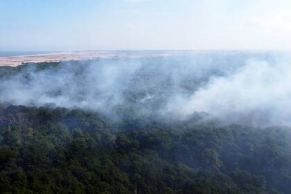 Vista aérea, con el mar de fondo, del incendio en el bosque de Cariló