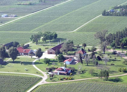 Vista aérea de la bodega donde se elaboraba el Cognac Juanicó, en esta villa de la localidad de Canelones