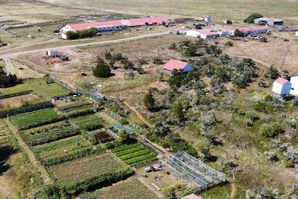 Vista aérea de la Estancia Viamonte, en cercanías de Río Grande (Tierra del Fuego), donde se produce ajo negro