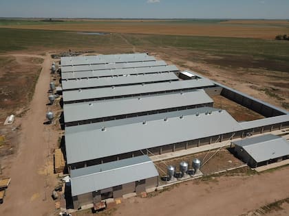 Vista aérea de la granja porcina