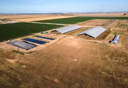 Una tormenta le arruinó todo, pero fue el punto de inflexión para cambiar el negocio 6 Vista aérea de los galpones del Establecimiento Don Alfredo