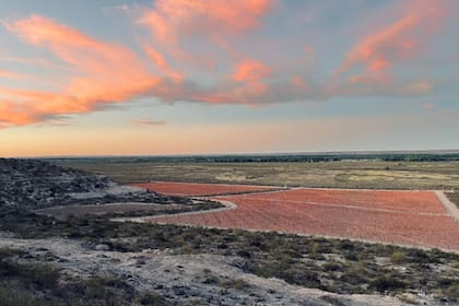 Vista aérea de los viñedos de Valle Azul
