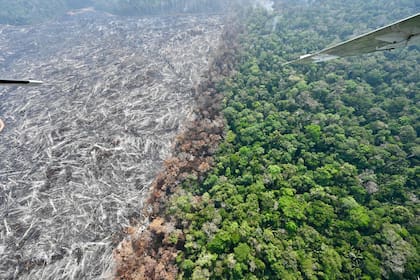 Vista aérea de un área de selva amazónica deforestada por fuego ilegal en el Amazonas de Brasil