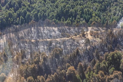 Vista aérea de una zona quemada en Mallín Ahogado