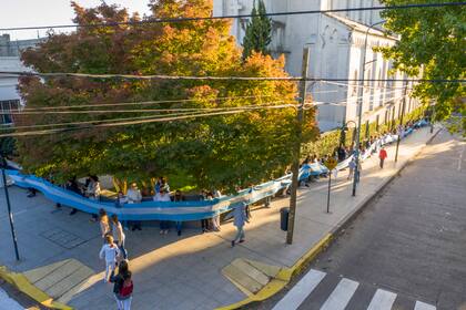 Vista aérea del colegio Michael Ham en Vicente López