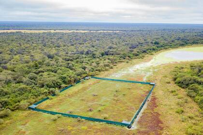 Vista aérea del corral en el que soltaron a Brisa y Alfonso en el Parque Nacional El Impenetrable, en la provincia de Chaco