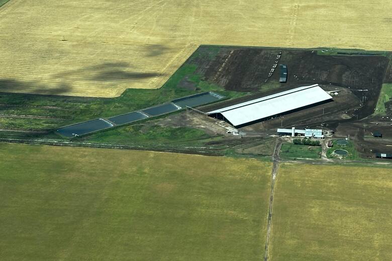 Innovación y tradición: la transformación de la lechería en la era moderna