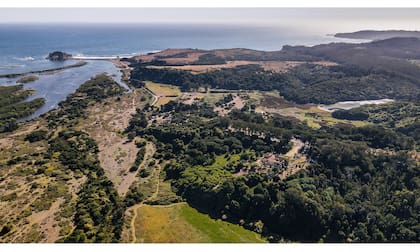 Vista aérea del Parque Museo Pedro del Río Zañartu, reserva natural de la región del BioBío