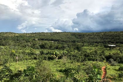 Vista aérea del Santuario de Elefantes Brasil, en el Mato Grosso