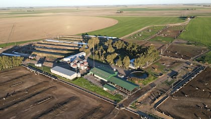 Vista aérea del tambo: se ven los corrales donde duermen las vacas lecheras