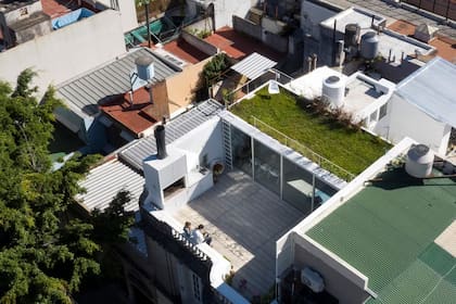 Vista aérea del techo verde que la arquitecta Paula Araujo Varas hizo en su PH.