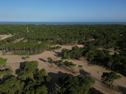 Vista aérea del terreno de 220 hectáreas que ocupará Bosques 