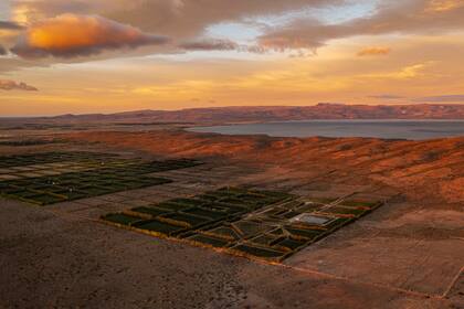 Vista aérea del viñedo Otronia, detrás, el lago Musters