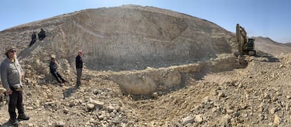 Vista completa donde se halla el fósil Perucetus colossus