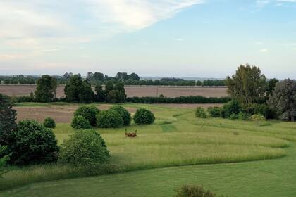 Vista de Bellatrix y su paisaje rural, donde se aprecian los caminos de césped entre las praderas naturales.