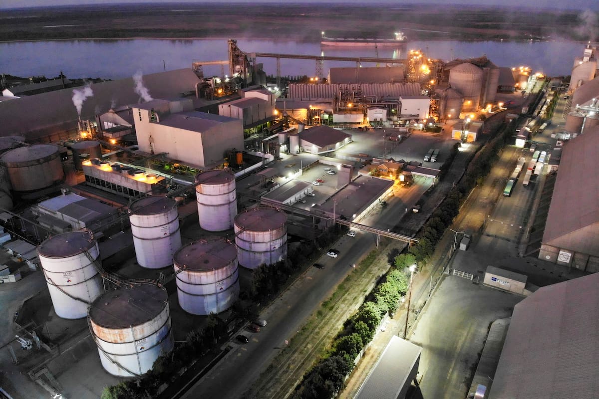 Dos empresas interesadas en la cerealera pidieron que se excluya un voto en el cramdown - LA NACION