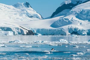 El proyecto ambiental que motorizó el viaje de Milei a la Antártida