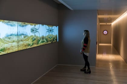 Vista de la videoinstalación de Juan Solanas, con obra de Karina Peisajovich al fondo del pasillo