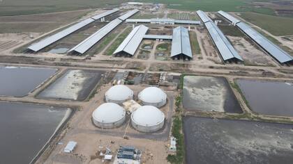 Vista de las instalaciones de Adecoagro, que apunta al tambo y la energía renovable, entre otras actividades