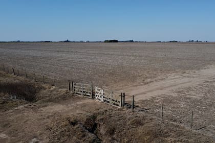 Vista de los campos que, por la falta de lluvias, quedaron sin sembrar con trigo