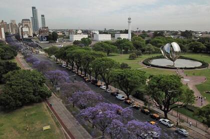 Algunos de los mejores lugares para verlos son: desde el puente de la Facultad de Derecho, a lo largo de toda la Avenida Sarmiento y en los alrededores de Plaza Italia.