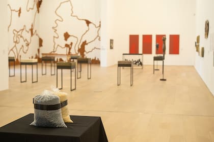 Vista de sala de la muestra de Maiolino en Malba