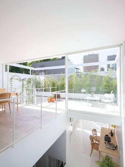 Vista de todas las plantas.