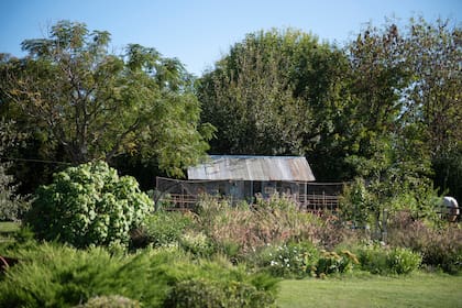 Vista del invernáculo