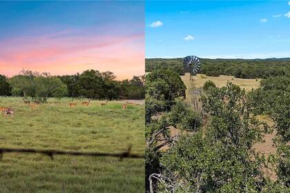 Vista del antiguo molino entre los añejos nogales y la gran extensión apta para cultivos o cría de animales que posee la propiedad. (KW Realty)