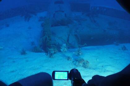 Vista del Grumman F6F Hellcat desde el interior de Antipodes
